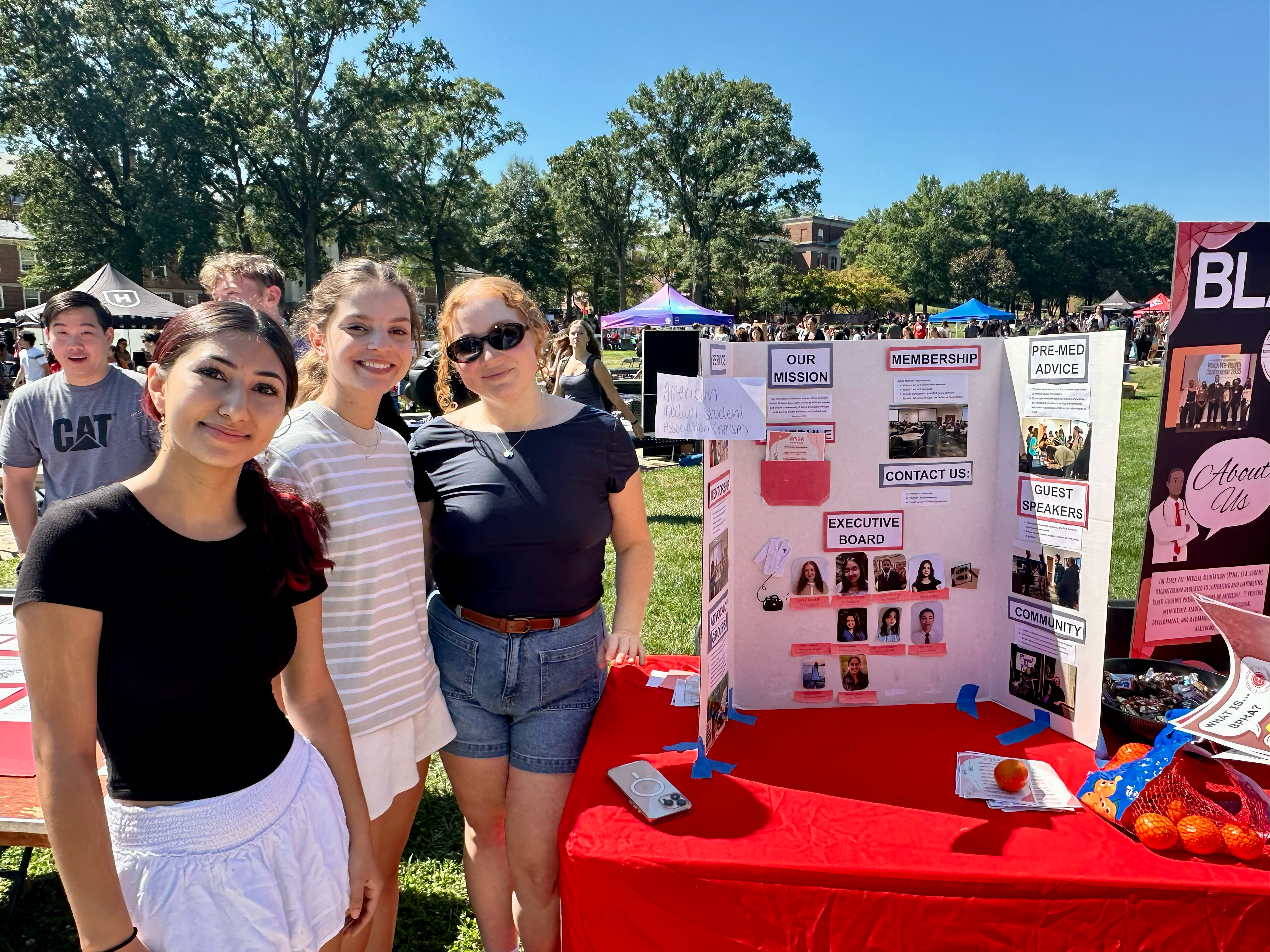 amsa at first look fair