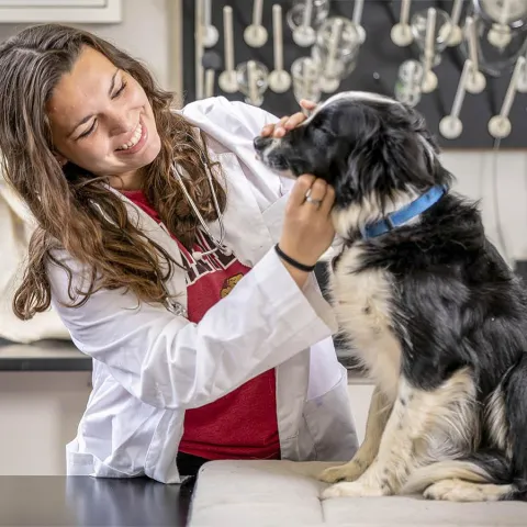 pre-vet student with a dog